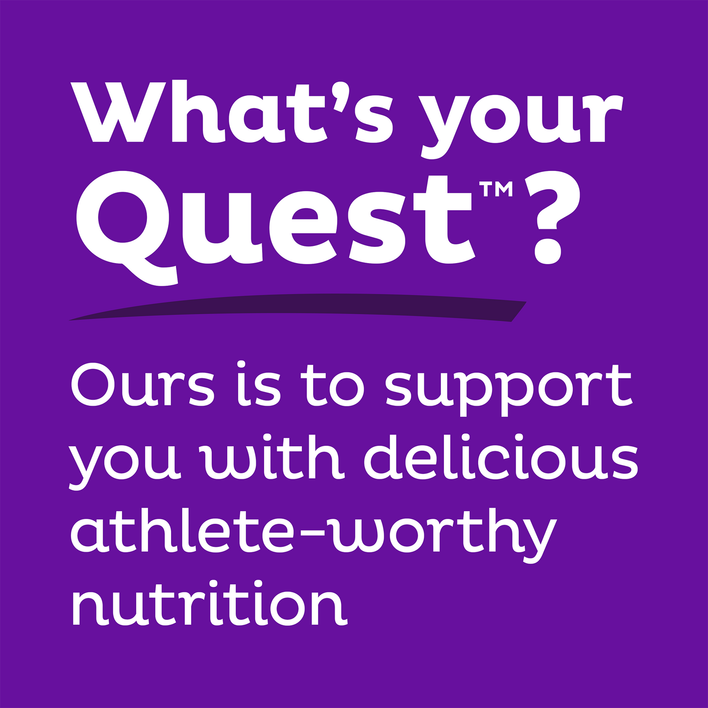double-chocolate-chunk-protein-bars-y3 qst-000241_double-chocolate-chunk-protein-bars_9.png